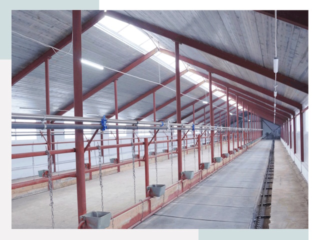 Строительство коровников в Гае от 610 руб.